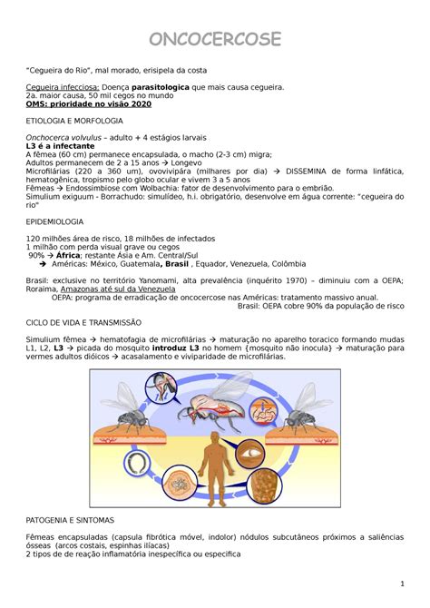 Oncocercose O Que É - 7 - Oncocercose - Completo e bem detalhado - ONCOCERCOSE “Cegueira do ...