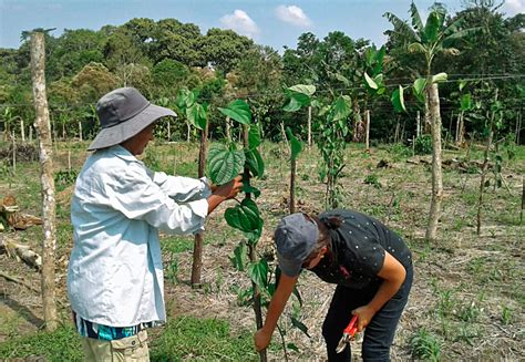 Productores De Napo Fortalecen Su Producci N Ministerio De