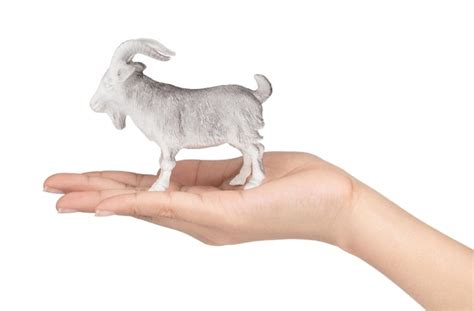 Premium Photo Hand Holding Goat Toy Made Of Plastic Isolated On White