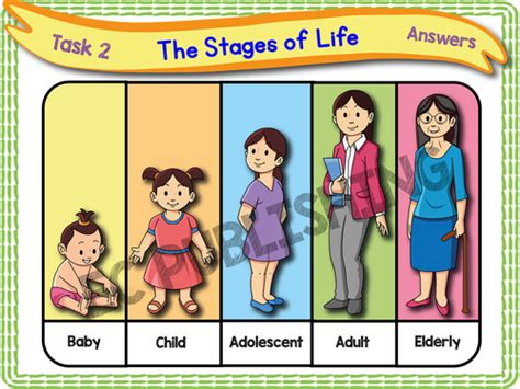 Human Life Cycle Ks1 Teaching Resources