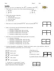 Inheritance Worksheet Pdf Name Period Date Sex Linked In Fruit