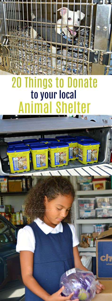 20 Things To Donate To Your Local Animal Shelter About A Mom Animal