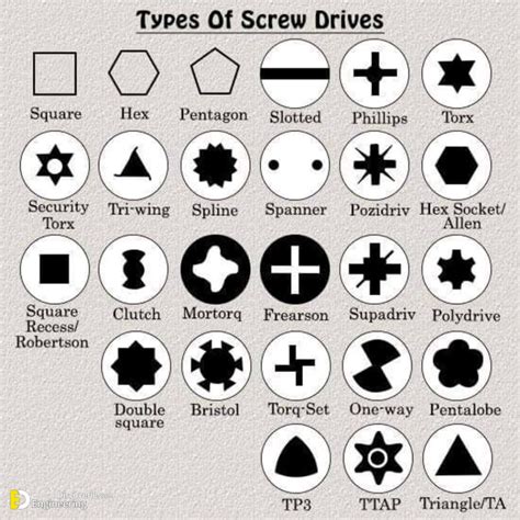 Types And Shapes Of Fasteners, Nuts, Screw Head, And washers ...