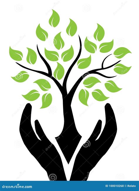 Hands Holding Tree Stock Vector Illustration Of Hold 100010268