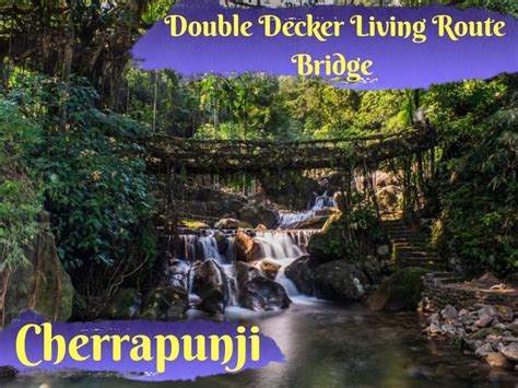 Double Decker Living Route Bridge, Cherrapunji Meghalaya - Easy Travel ...