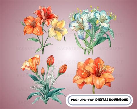 Printable Flower Bundle Clipart Flower Png Plant Clipart Watercolor ...