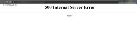 How To Fix 500 Internal Server Error NGINX For Client Server