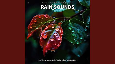 Rain Sounds for Relaxing - YouTube