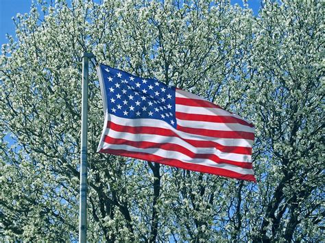 American Flag Among Spring Blossoms Flickr Photo Sharing