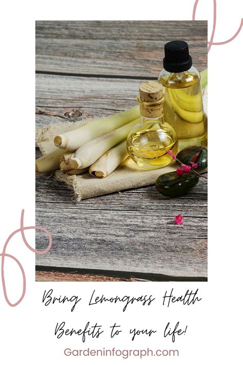 Lemongrass Health Benefits Garden Infograph