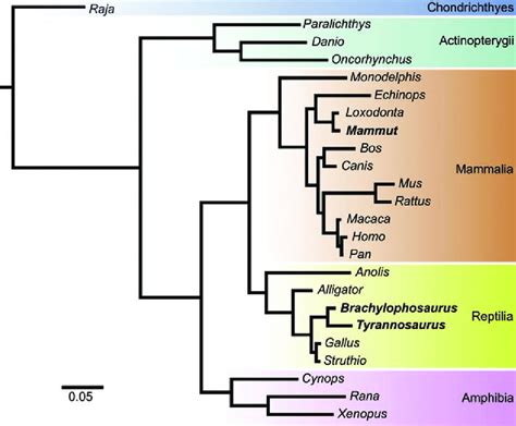 Consensus Of The Posterior Distribution Of Phylogenetic Trees Including