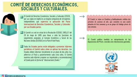 Comité De Derechos Económicos Sociales Y Culturales Yudocorg Udocz