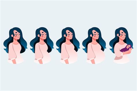 Free Vector | Pregnancy stages illustration concept