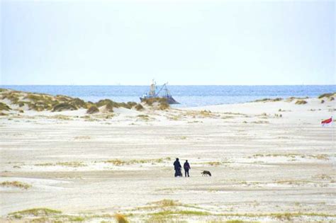 Sylt: Boat tour to island of Amrum | GetYourGuide