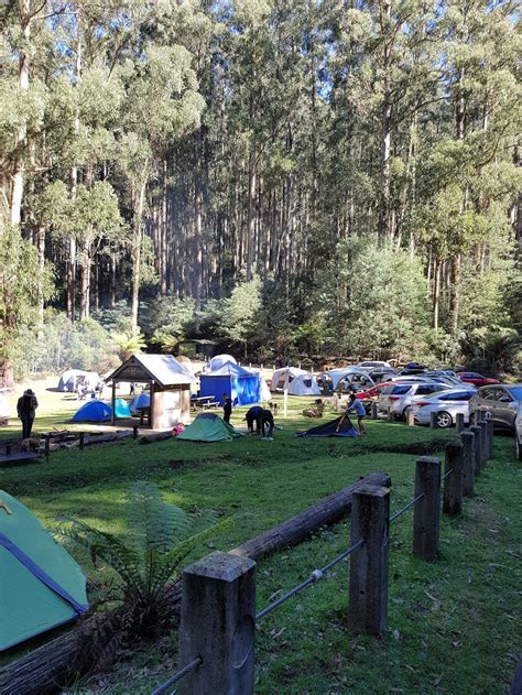 Starlings Gap Campground Big Creek Rd Ada Vic 3833 Australia