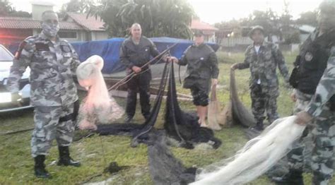 Fiscaliza O Apreende Redes E Materiais De Pesca Irregular Na Lagoa De