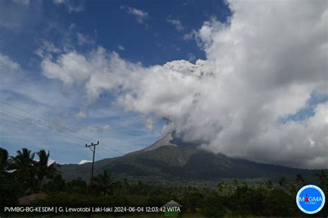 Gunung Lewotobi Laki Laki Erupsi Letusan 200 Meter Di Atas Puncak