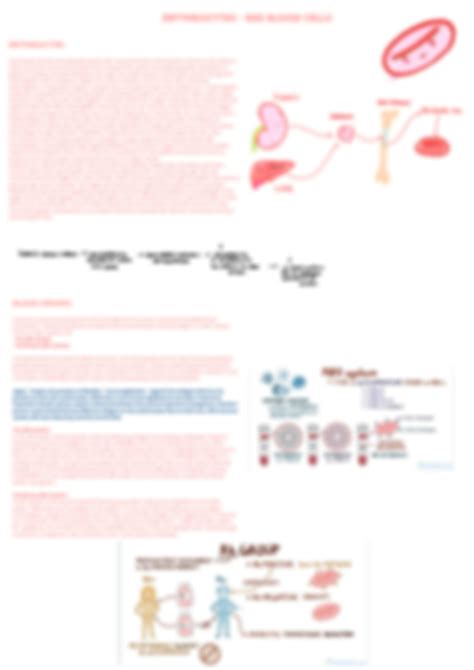 SOLUTION Cardiovascular System Studypool