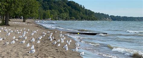 turkey point provincial park wandering canadians