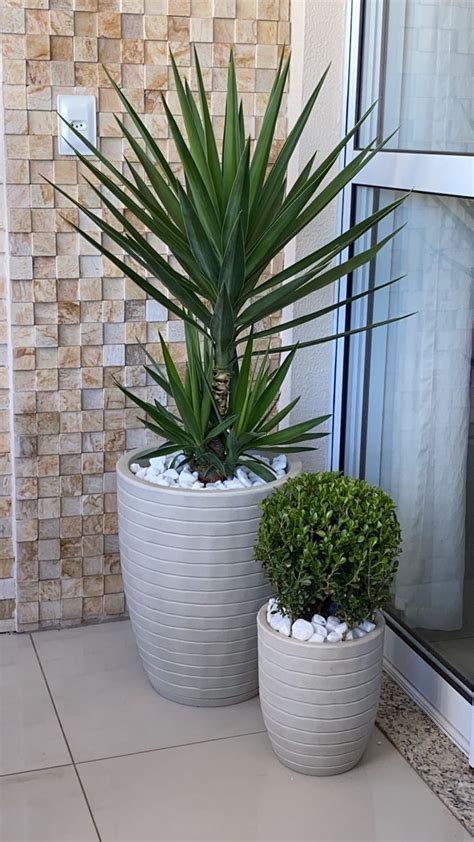 Potted Plants Outdoor Plant Decor Indoor House Plants Decor Outdoor