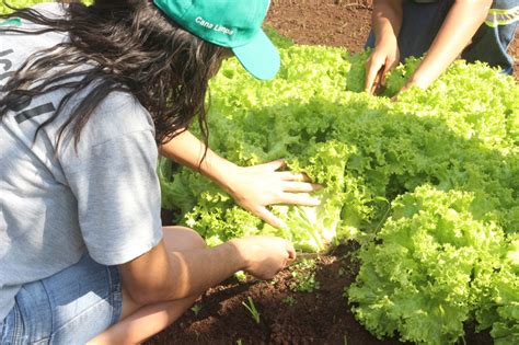 Início das aulas do Jovem Agricultor do Futuro Viralcool Empresa de