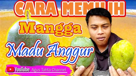 Cara Memilih Dan Membedakan Mangga Madu Anggur Dengan Mangga Madu Biasa