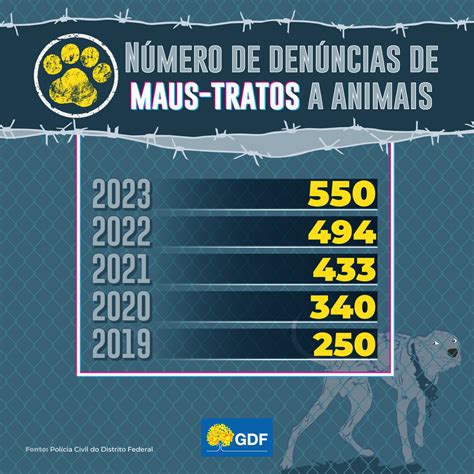 Cresce O N Mero De Apura Es De Maus Tratos A Animais Ag Ncia Bras Lia