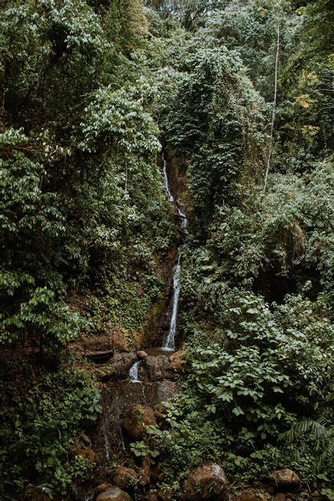 Top Things To Do In Manuel Antonio, Costa Rica • Dreams Become Wings