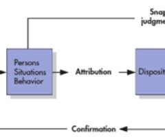 Week 3 Perceiving Others Flashcards Quizlet