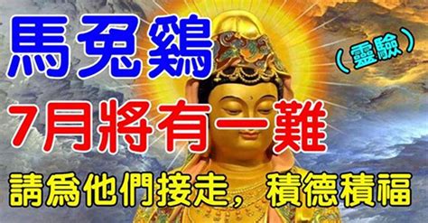 屬馬，兔，雞的人，7月將有一【難】，請為他們積德積福！ Peekme