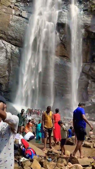 கொல்லிமலை ஆகாய கங்கை நீர்வீழ்ச்சியின் கம்பீரமான அழகு Kolli Hills In