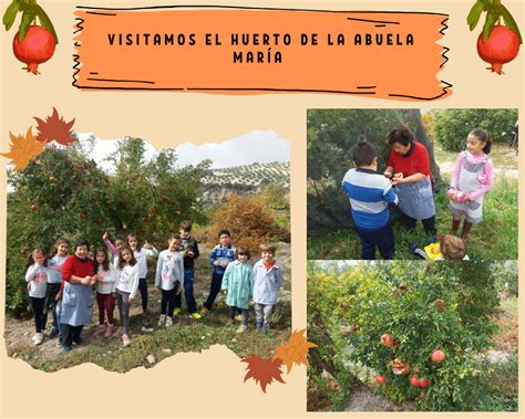 CPR IZNÁJAR NORTE VISITAMOS EL HUERTO DE LA ABUELA MARÍA