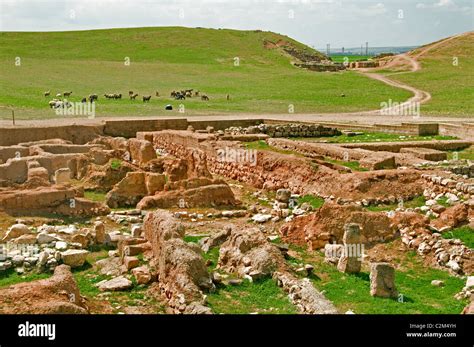 Ebla Syria Aleppo 3000 Bc 1650 Bc 20000 Cuneiform Tablets Found