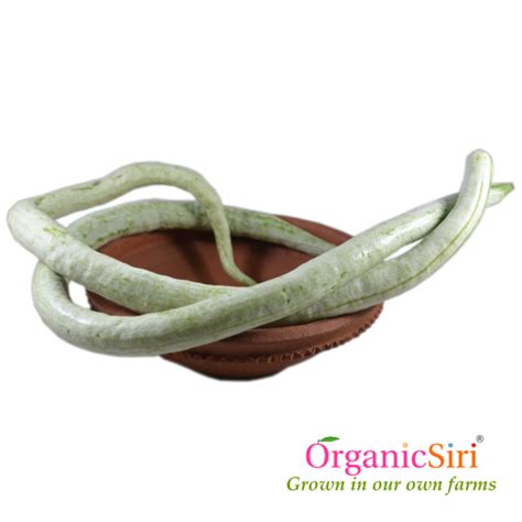 Organic Potlakaya 1pc Organicsiri Farms