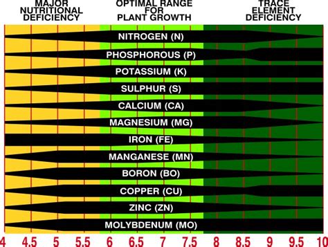 What Is Soil PH, And Why Does It Matter? - Life Is Just Ducky