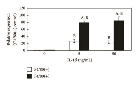 Effects Of Interleukin Il 1β On Il 1β Adrenomedullin Am And