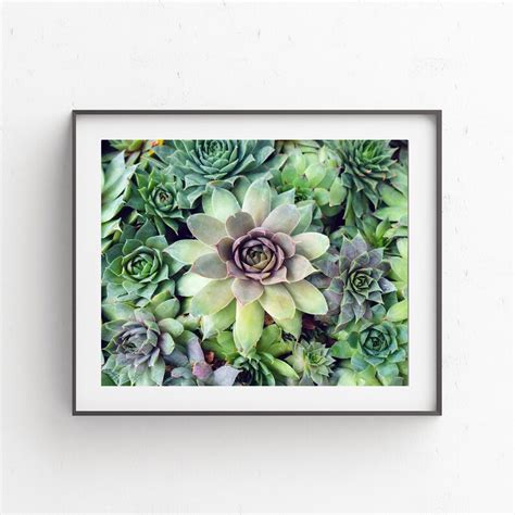 Printable Succulent Garden Wall Art Home Decor Refresh Etsy