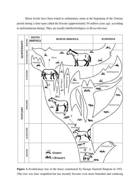 Evolution of Horse | Horses | Evolution