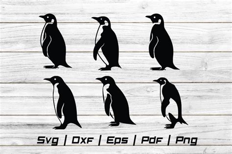 Penguin Vector Silhouette Svg File 2489581