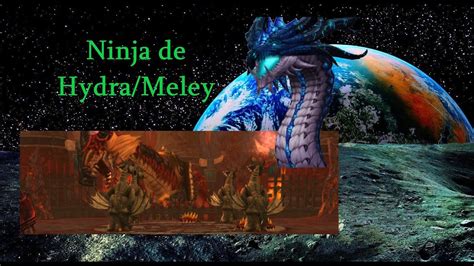 Vandut Ninja De Meley Hydra Server Tara Romaneasca Youtube