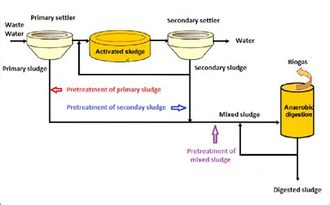 Sludge sources from classical wastewater treatment plants [4]. | Download Scientific Diagram