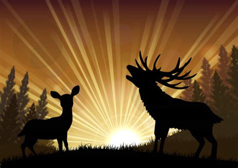 Silhouette Of Deer Eating Grass Illustrations, Royalty-Free Vector ...