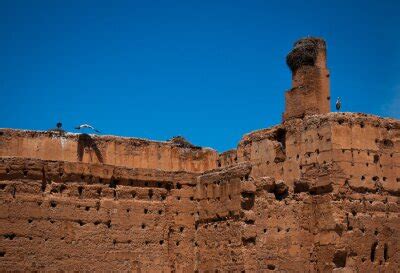 Storks Flying All Around El Badi Palace A Ruined Palace In Marrakech