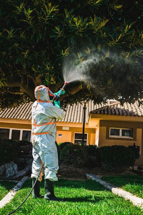 Worker In A Special Uniform Doing Pest Control On A Tree In The Yard