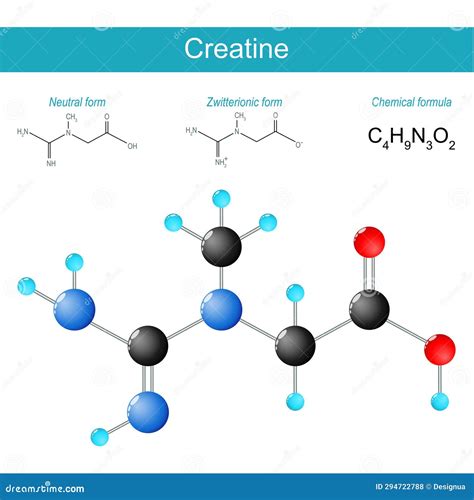 Creatine Molecule Molecular Chemical Structural Formula And Model