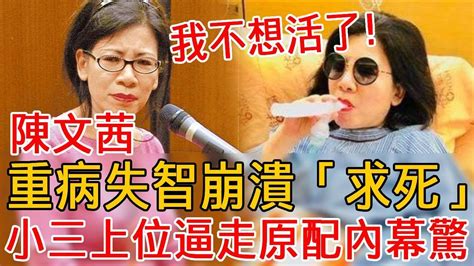 陳文茜患癌又失智崩潰「求死」！小三上位逼走原配內幕驚人，現64歲無人養老太心酸 陳文茜 名嘴 大嘴娛記 Youtube