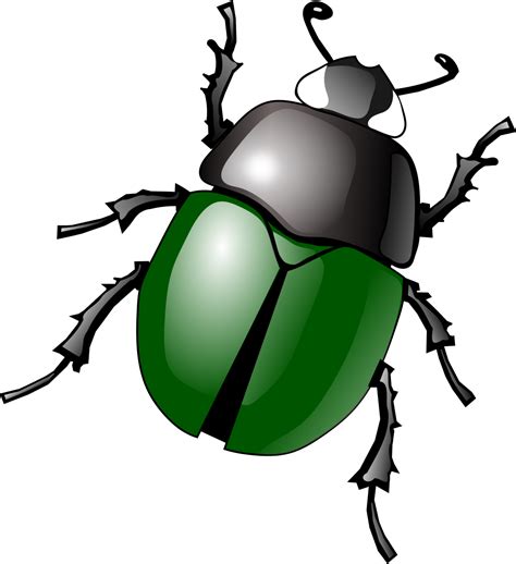 bug clipart - Clip Art Library