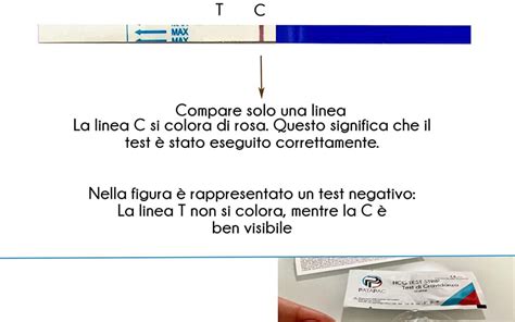 Test Di Ovulazione Canadesi Betahcg