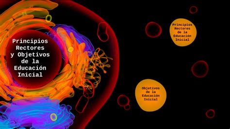 Principios Rectores Y Objetivos De La Educación Inicial By Martin