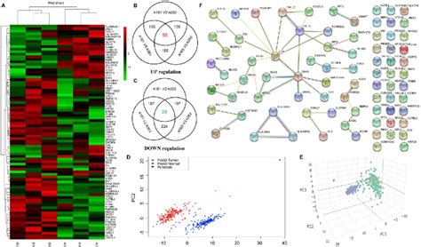 High Throughput Sequencing Analysis Of Differentially Expressed Genes